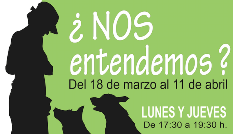 Las sesiones se desarrollarán los lunes y jueves de 17.30 a 19.30 horas (Foto TA)